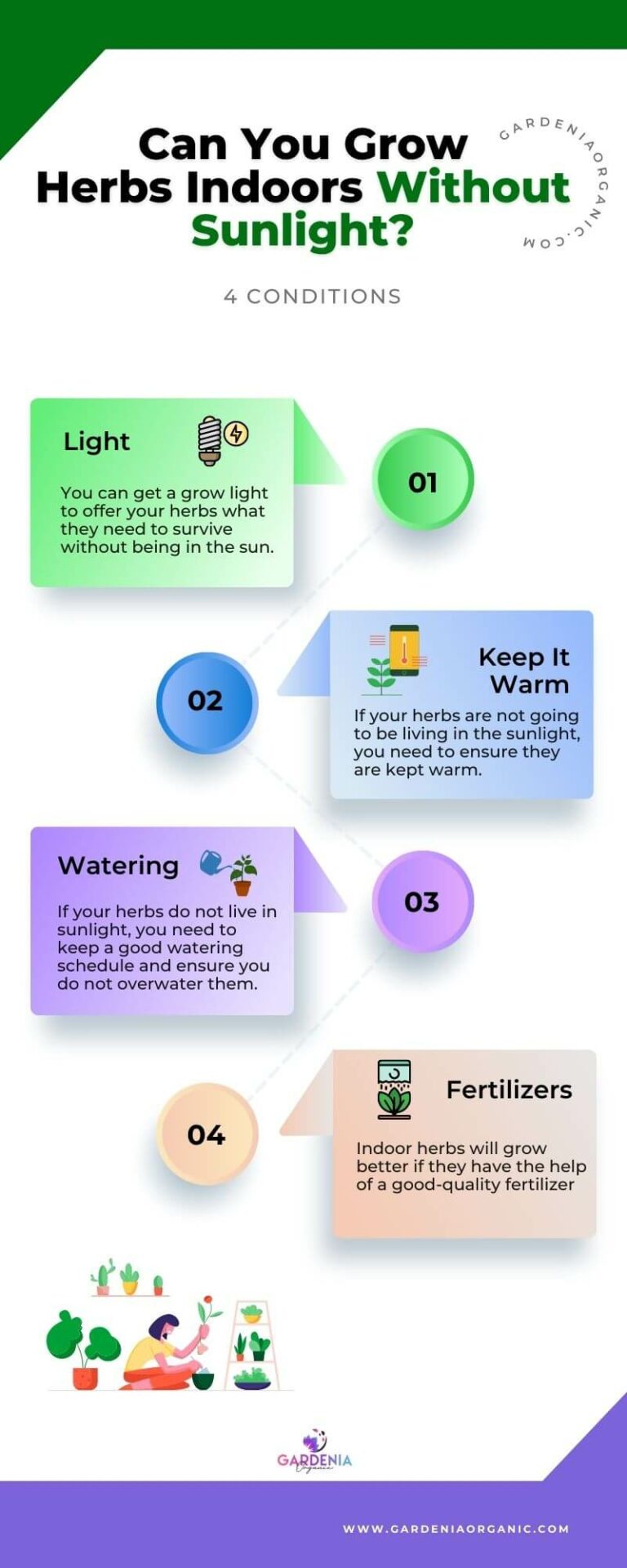 Can You Grow Herbs Indoors Without Sunlight? Gardenia Organic