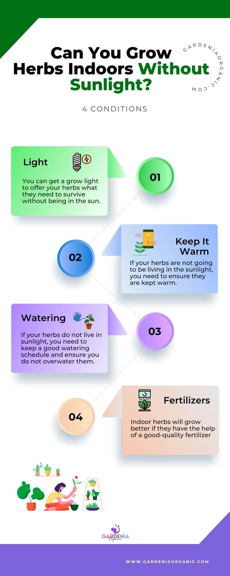 Can You Grow Herbs Indoors Without Sunlight? Gardenia Organic