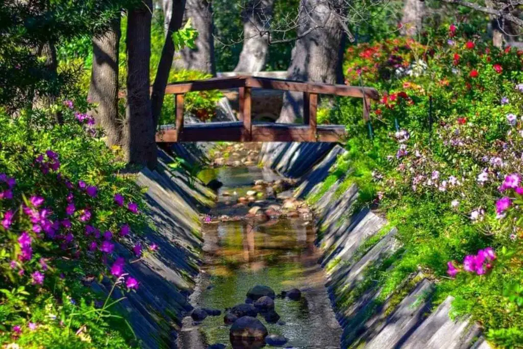 Garden stream river with flowers