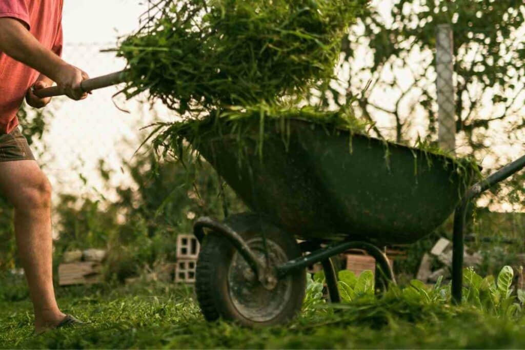 You can compost grass clippings