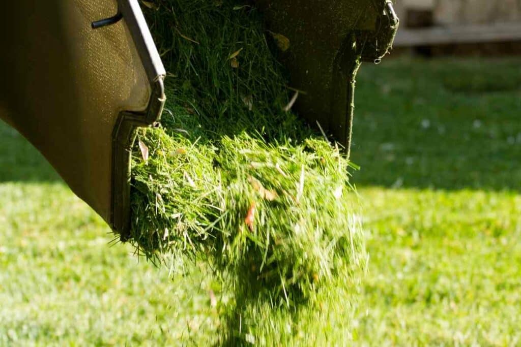 Grass clippings trash bin