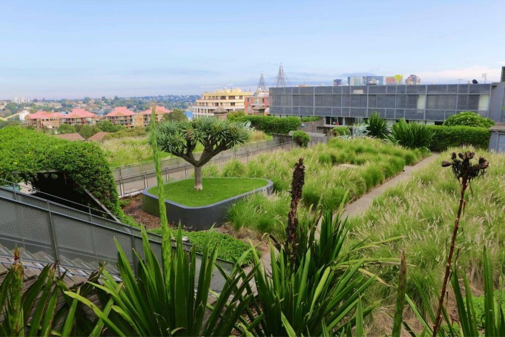 Green roof design