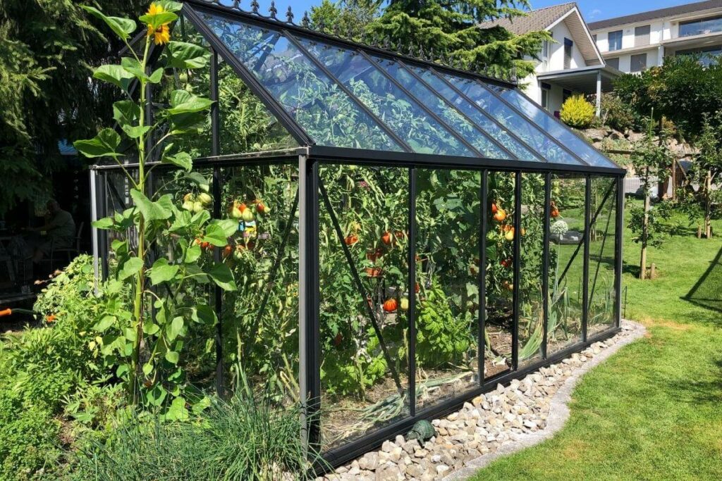 Greenhouse in backyard