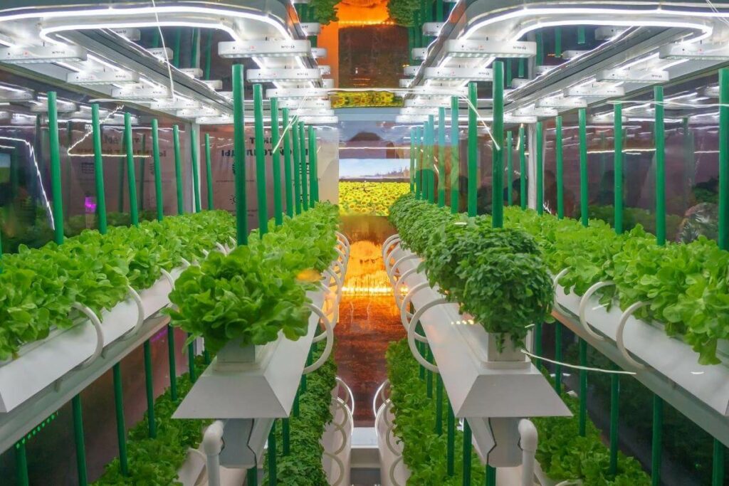 Growing Hydroponic Vegetables for Profits