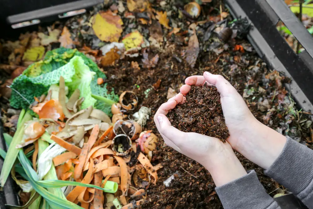 The Ideal Greens-To-Browns Ratio For Compost