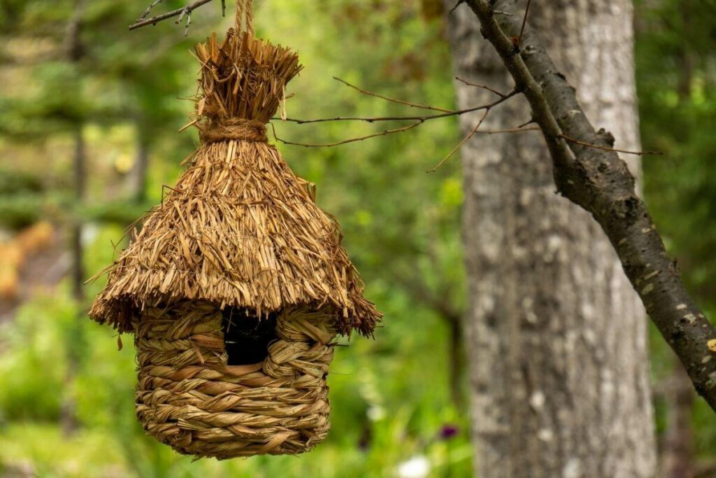 Set up hay birdhouse for winter