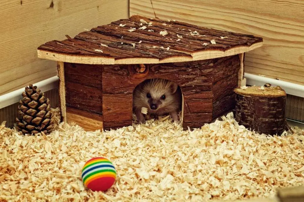 Hedgehog house & bedding