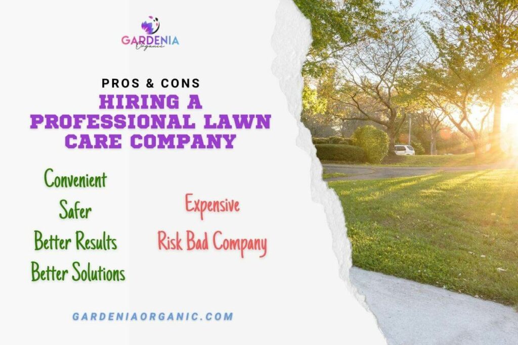 Hiring a Professional Lawn Care Company: Pros and Cons