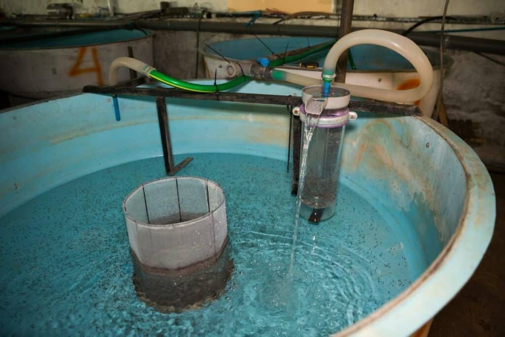 How Does Aquaponics Work?