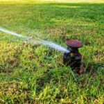 How Often Should You Water Grass Seeds?