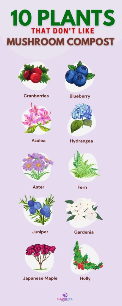 Infographics mushroom compost some plants don't like