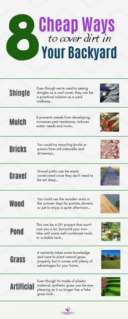Covering dirt in backyard ideas infographics