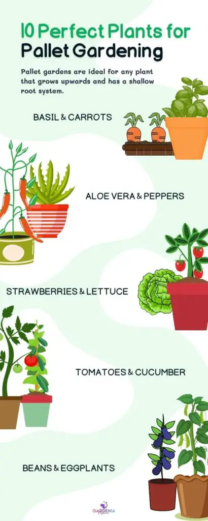 Plants for pallet gardening