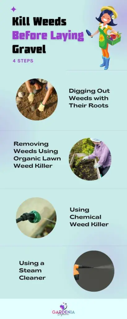 Kill Weeds Before Laying Gravel infographics