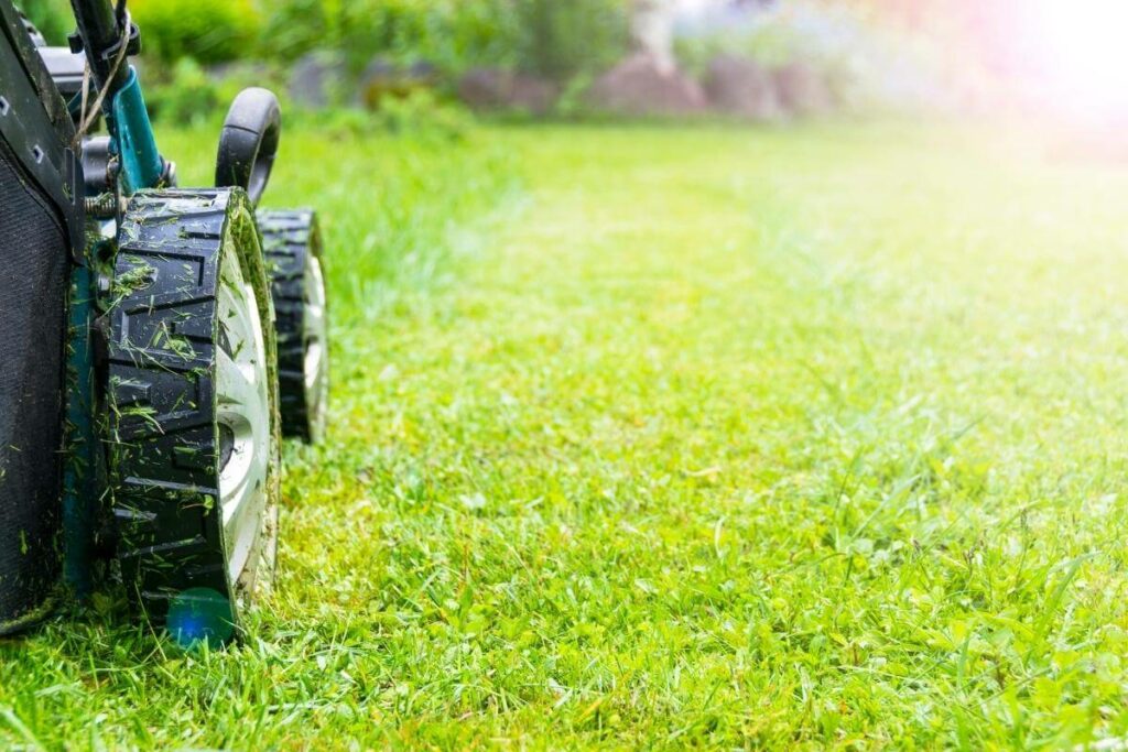 Original Lawn Care Business Name Ideas