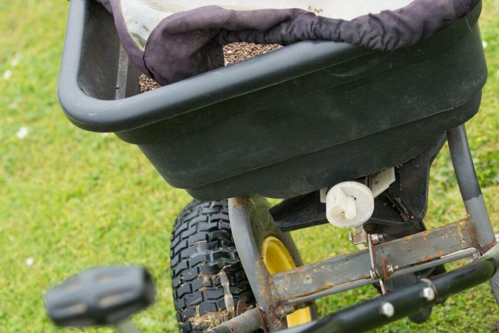 Grass seedlings and lawn in the cold weather