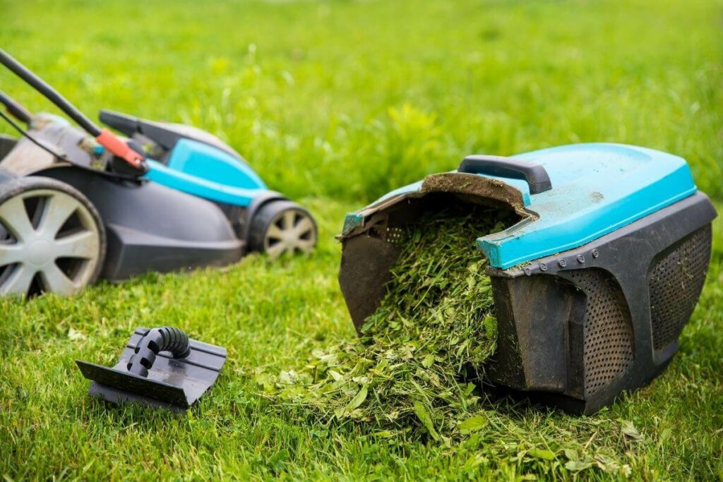 Lawn Maintenance Services