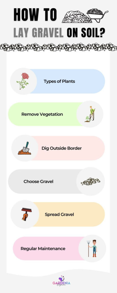 Infographic How to Lay Gravel on Soil