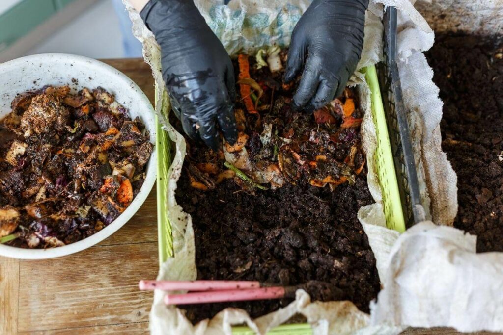 Vermicomposting maintenance not easy