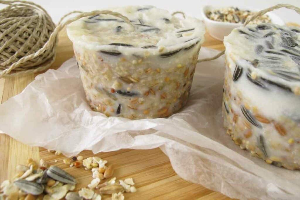 How to Make Bird Food With Oatmeal