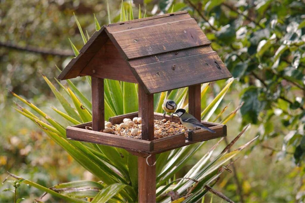 Making a Bird Table Pigeon-Proof