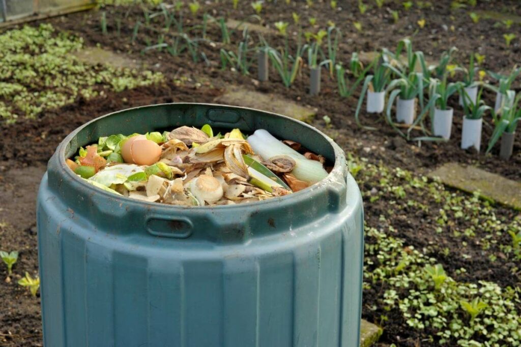 Making your own compost