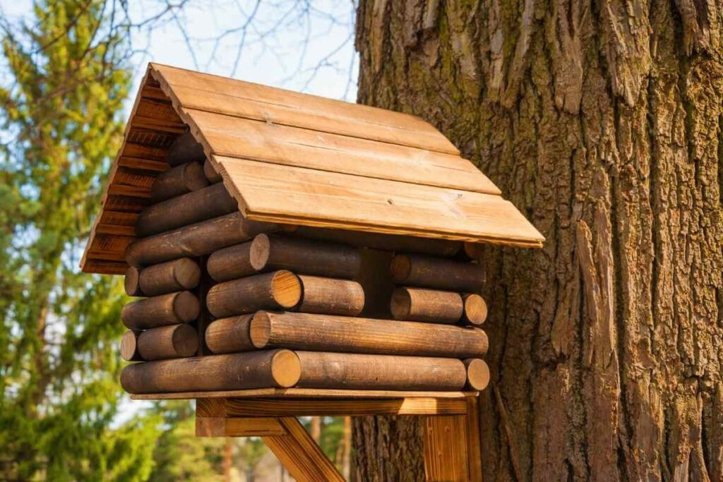 When Building a Nest Box