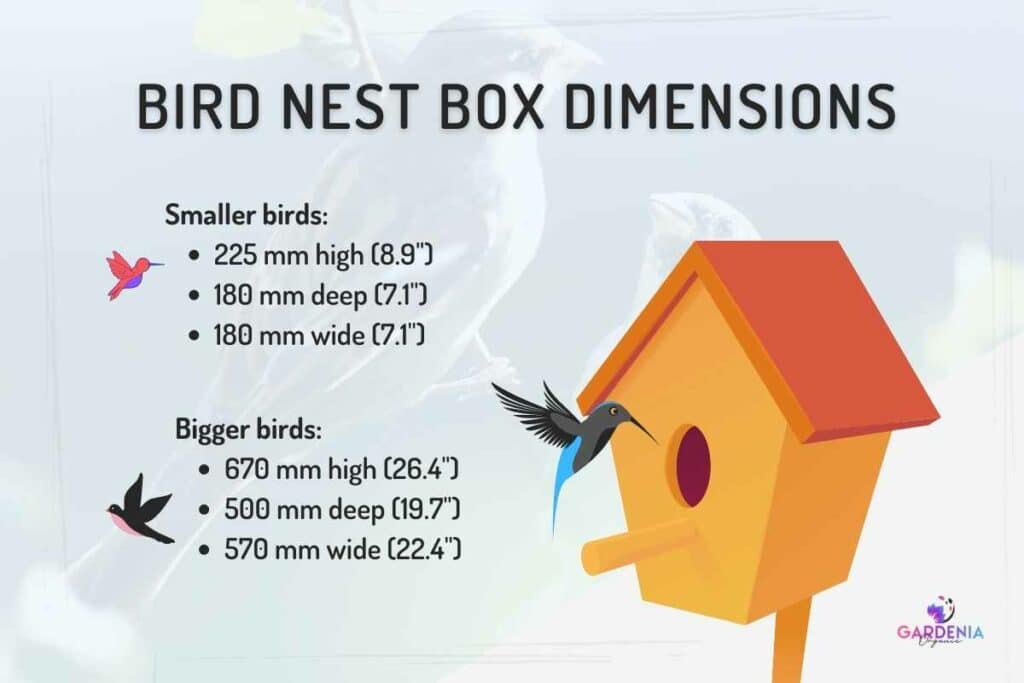 complete-guide-to-garden-bird-nest-box-size-and-dimensions-gardenia