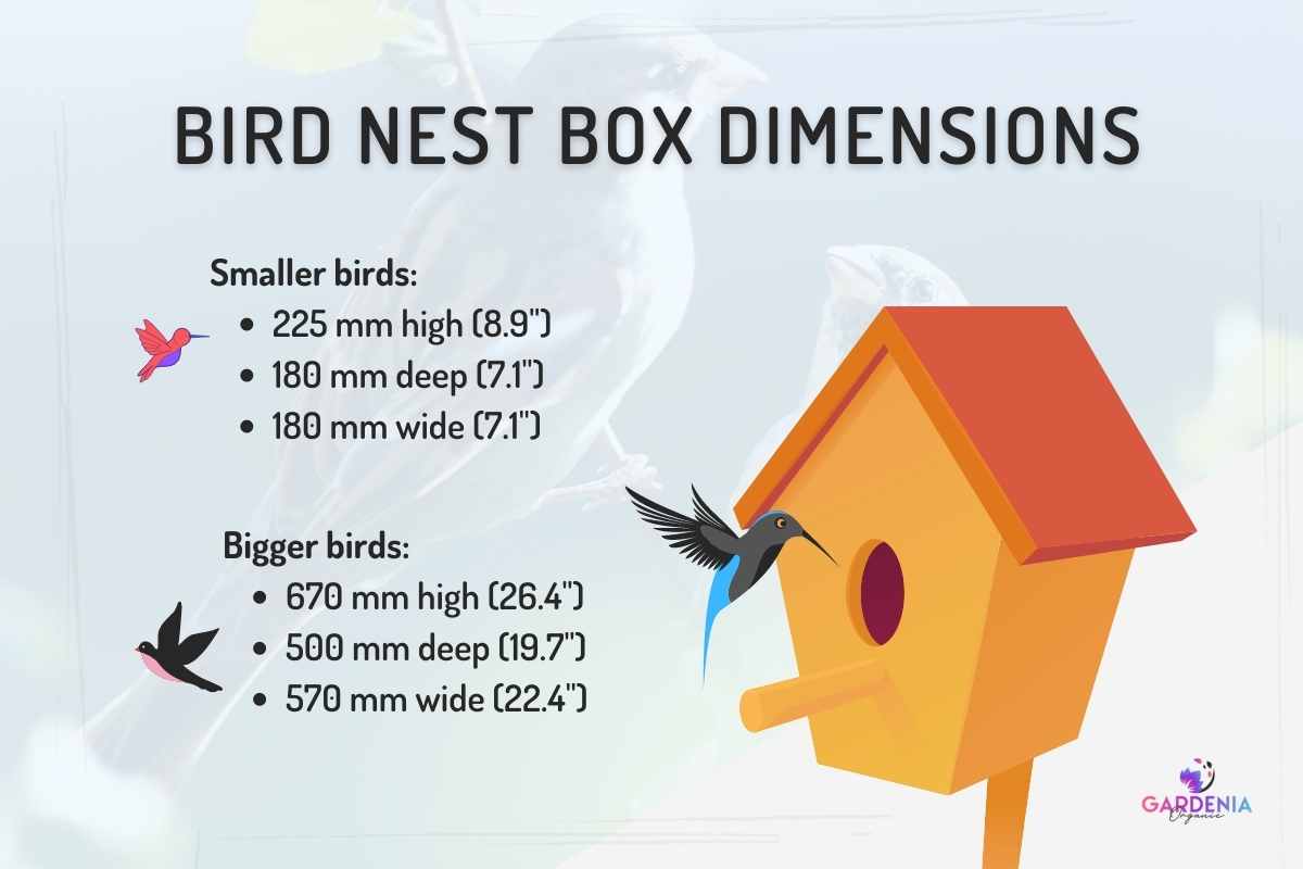 complete-guide-to-garden-bird-nest-box-size-and-dimensions-gardenia