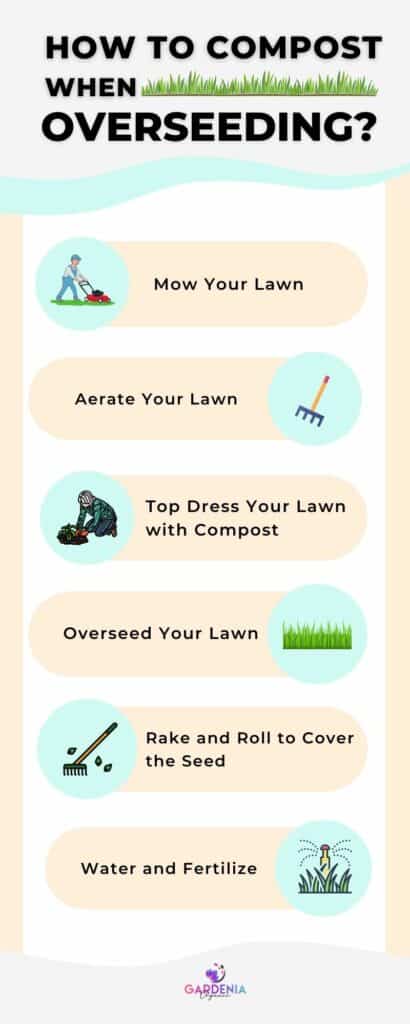 Overseeding infographic steps