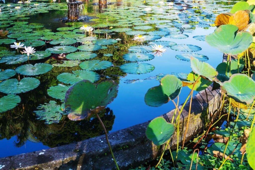 Pond gravel for natural look