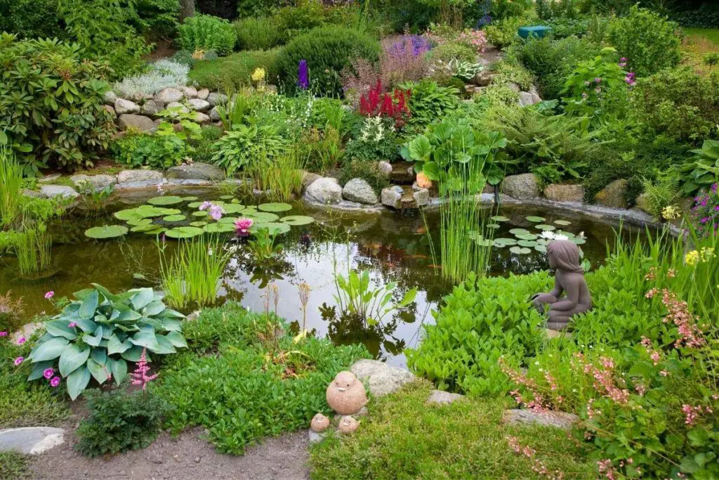 Plants in garden wildlife pond edging idea