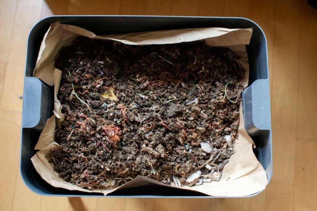 Choose the right vermicompost product