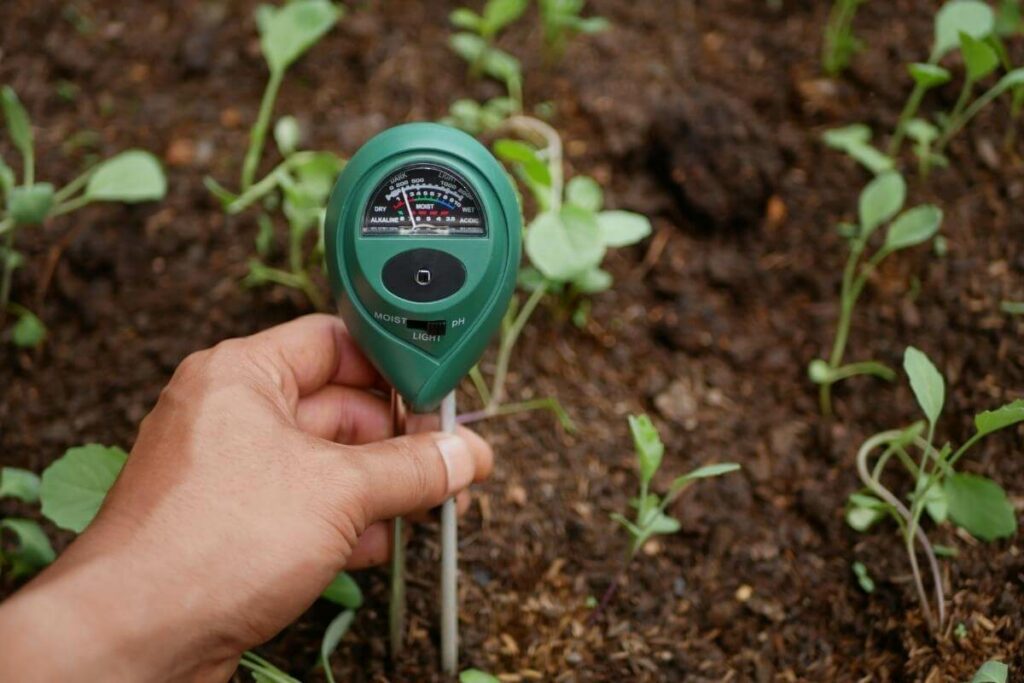 Testing soil