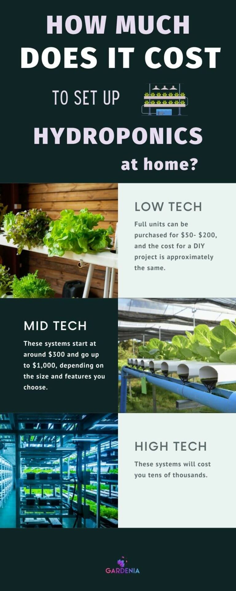 How Much Does It Cost to Set up a Hydroponic at Home? - Gardenia Organic