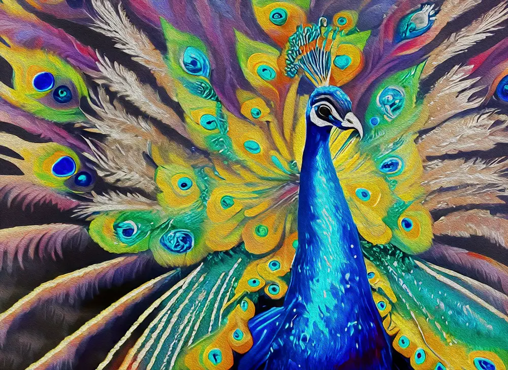 History Of Peacocks In The U.S.