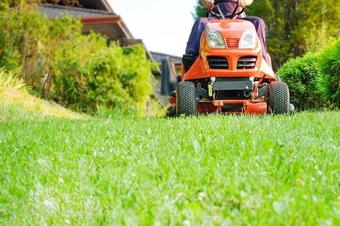 Which Is The Best Best Lawn Care Services Near Me Company?
