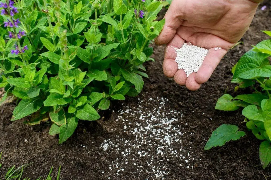 Storing fertilizer properly