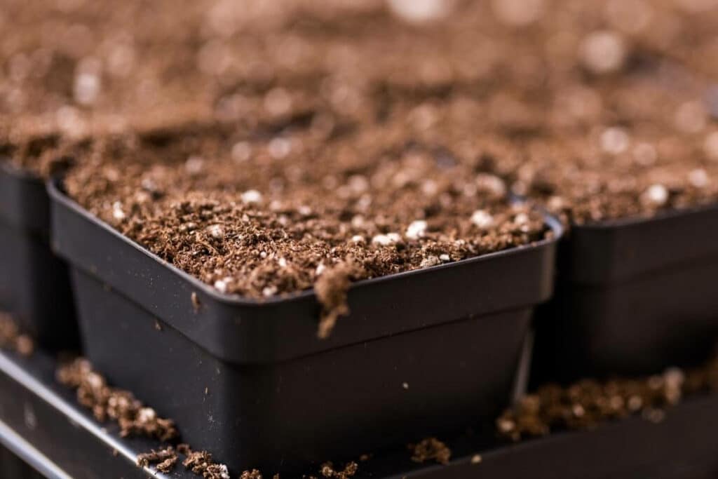 Where to find good topsoil