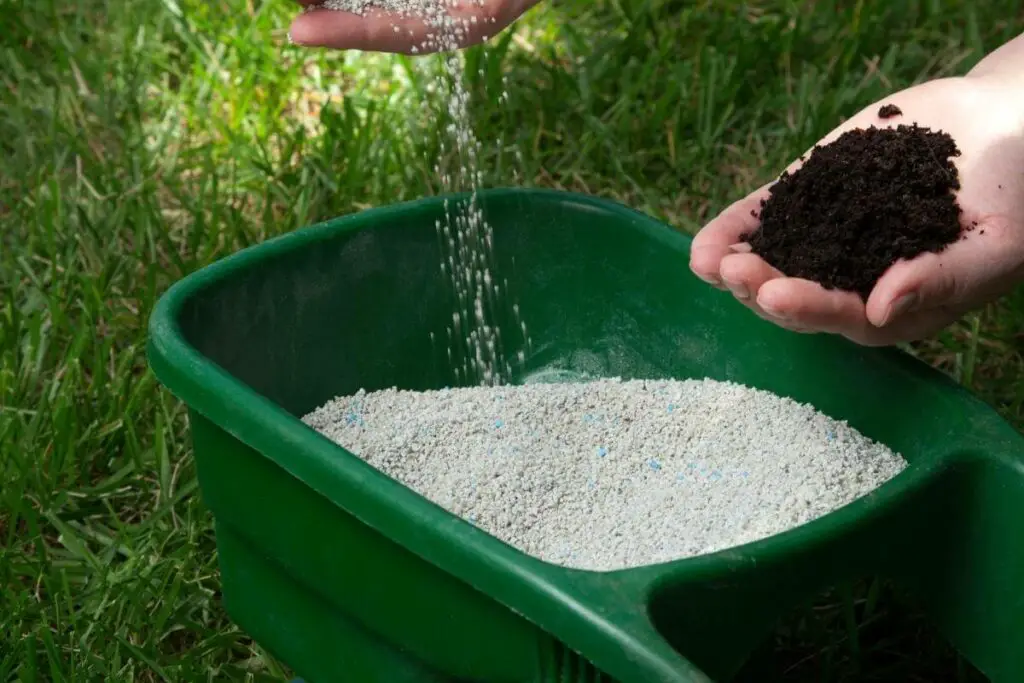 Using fertilizer for improving grass
