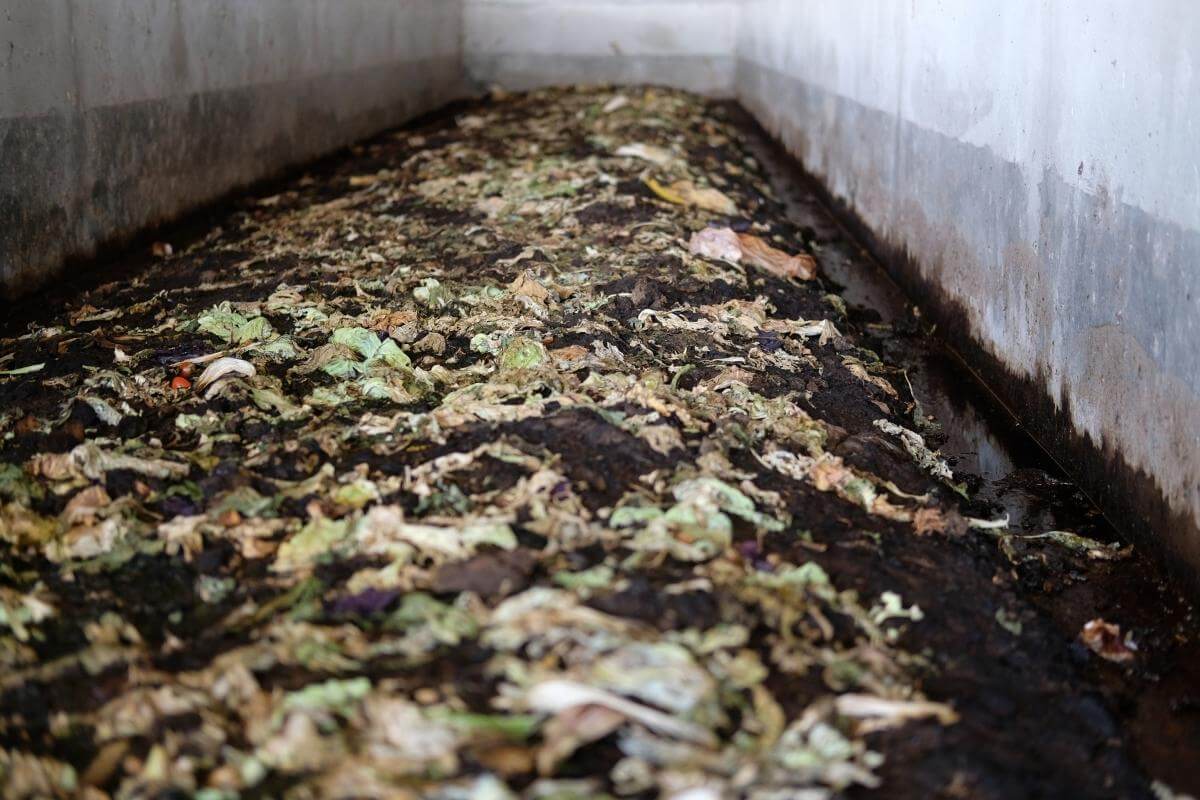 The 4 Types of Aerobic Composting Explained Gardenia Organic
