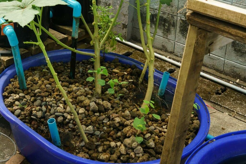 What is Aquaponics Grow Bed Material?