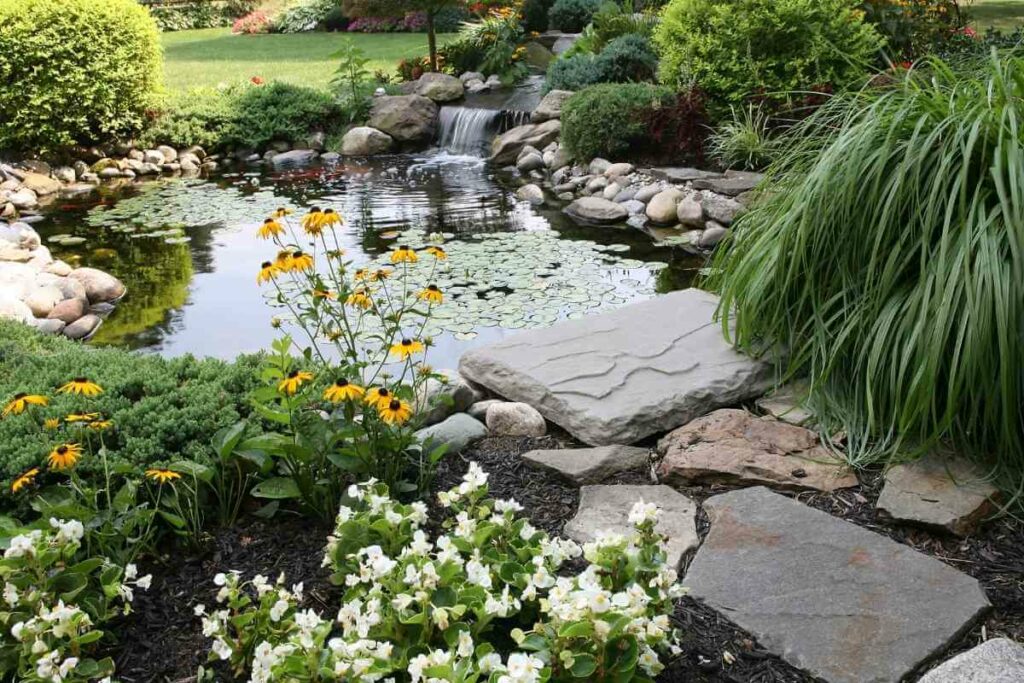 8 Amazing Ideas What to Replace a Pond With