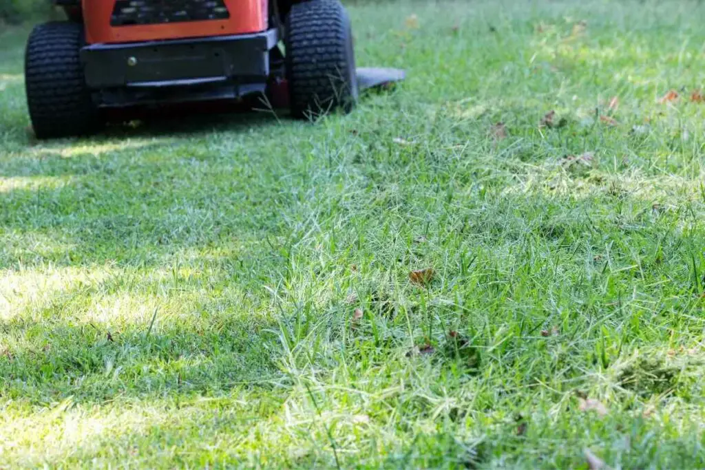 Cutting wet grass with zero turn mower