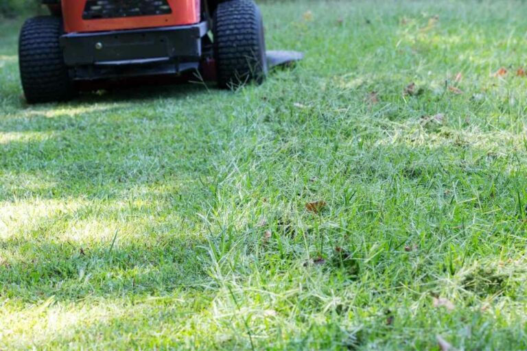 How to Mow Wet Grass with A Zero-Turn Mower - Gardenia Organic