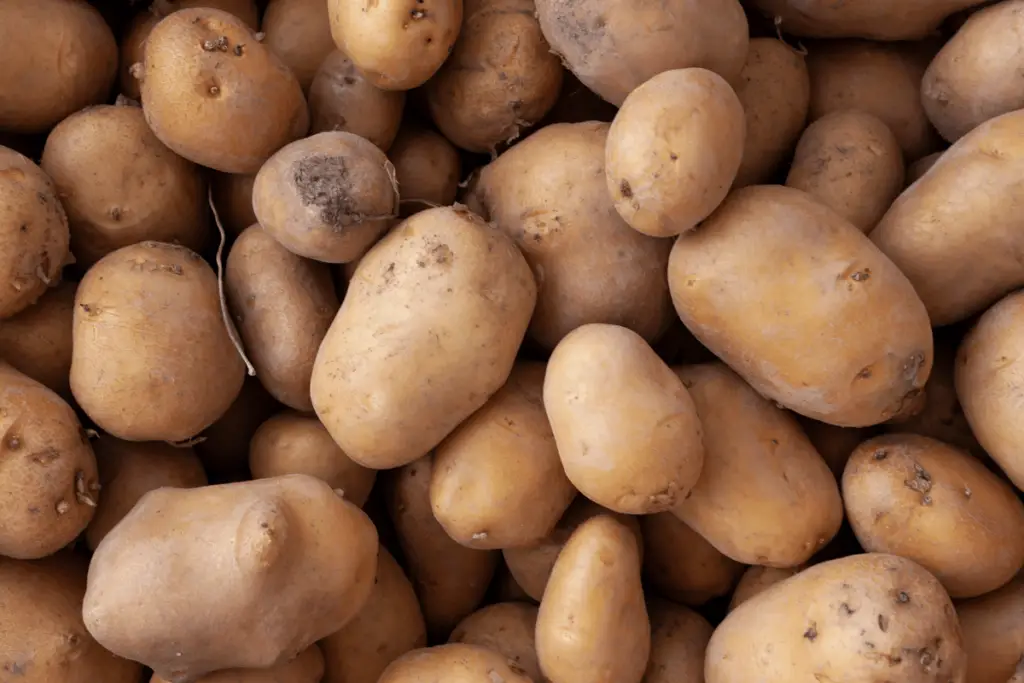 Image of Potatoes from the Garden