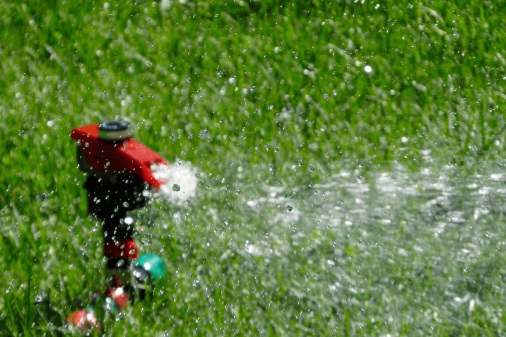 Automatic Watering of Lush Grass