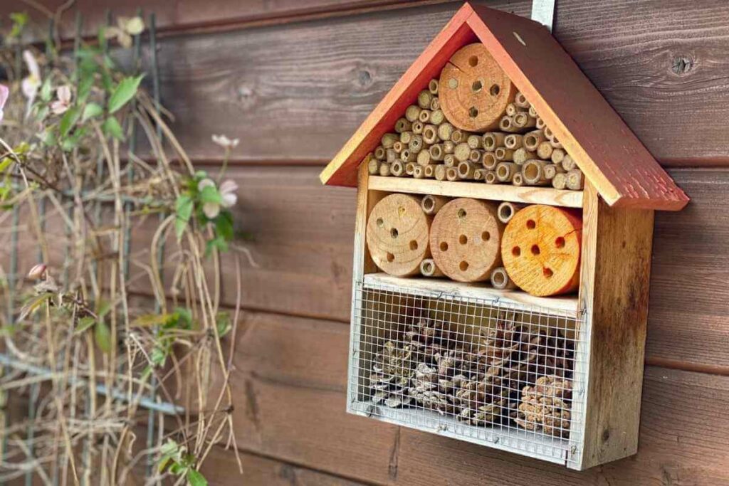 A Beginner’s Guide to Garden Bee Hotels