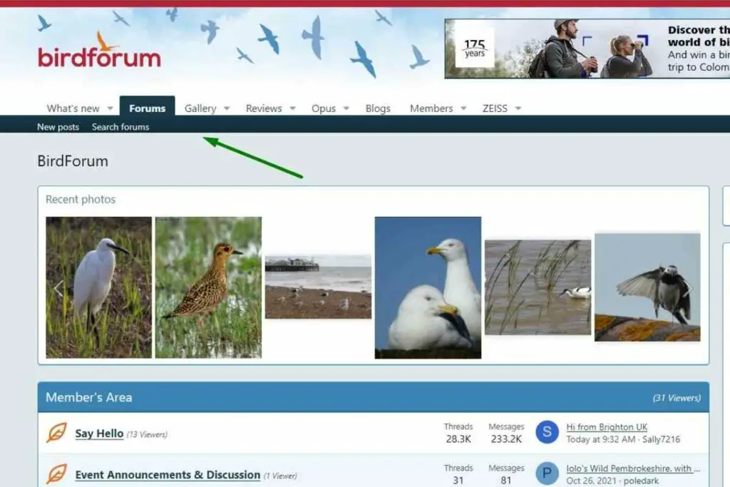 @birdforum.net bird forums
