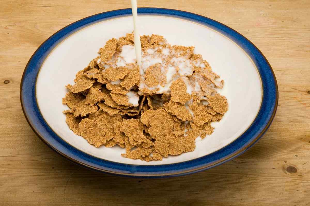 Can Wild Birds Eat Breakfast Cereal? (12 Cereals Covered) - Gardenia